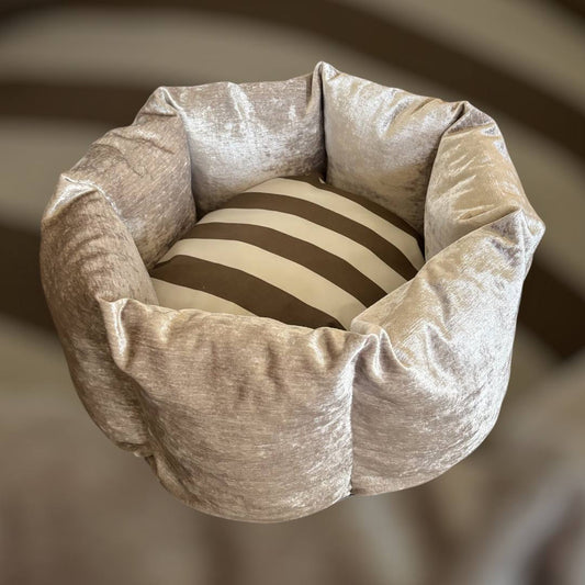 Cama Pet
